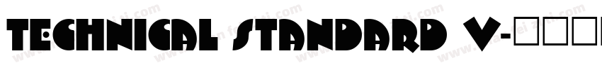 Technical Standard V字体转换
